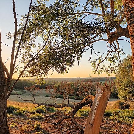 Gite Aux Bois D'En Temps Lunas  Habitación foto