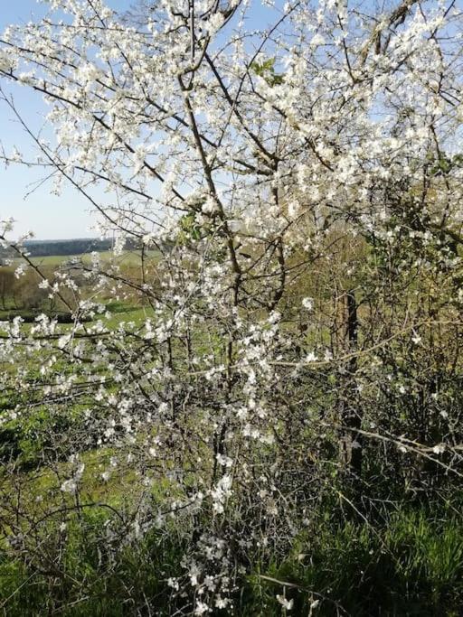 Gite Aux Bois D'En Temps Lunas  Exterior foto