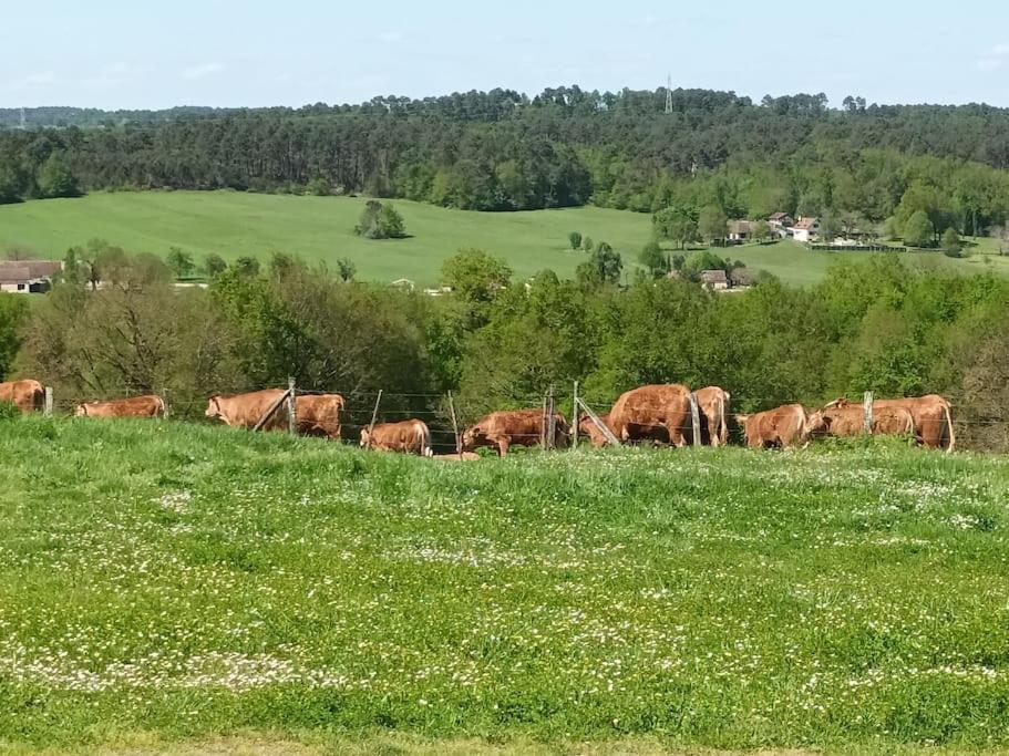 Gite Aux Bois D'En Temps Lunas  Exterior foto