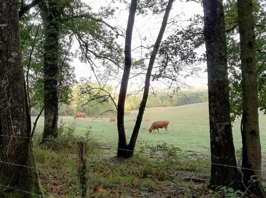 Gite Aux Bois D'En Temps Lunas  Exterior foto