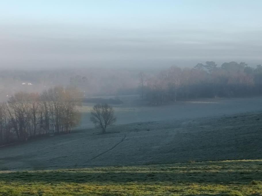 Gite Aux Bois D'En Temps Lunas  Exterior foto