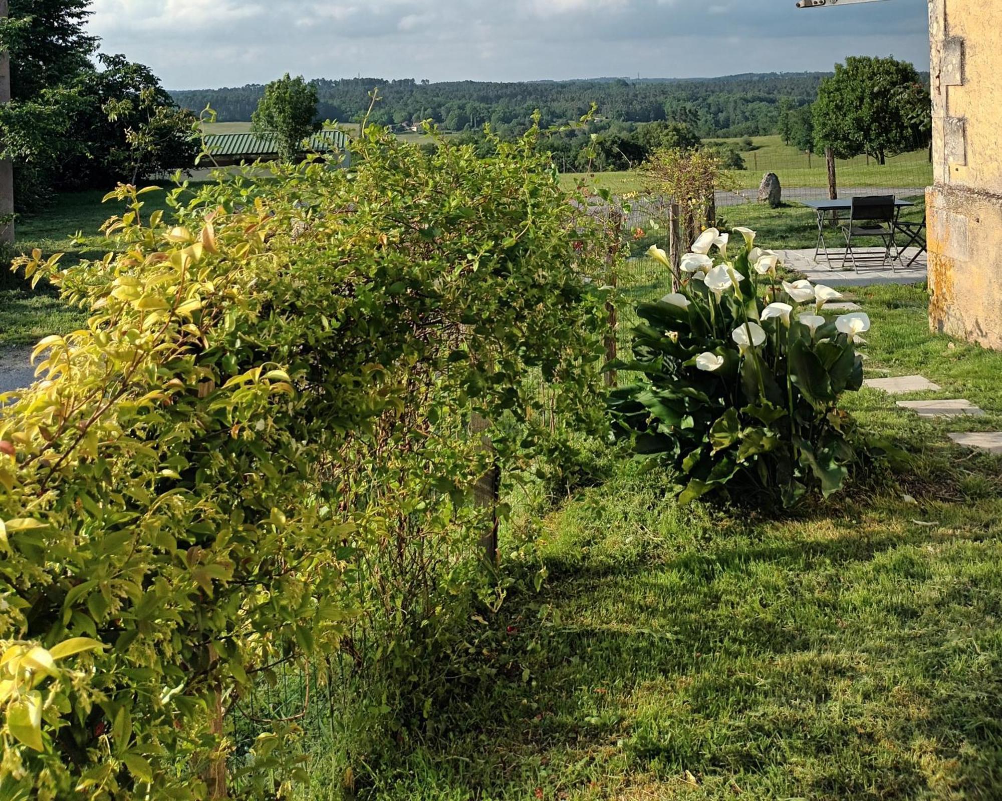 Gite Aux Bois D'En Temps Lunas  Habitación foto